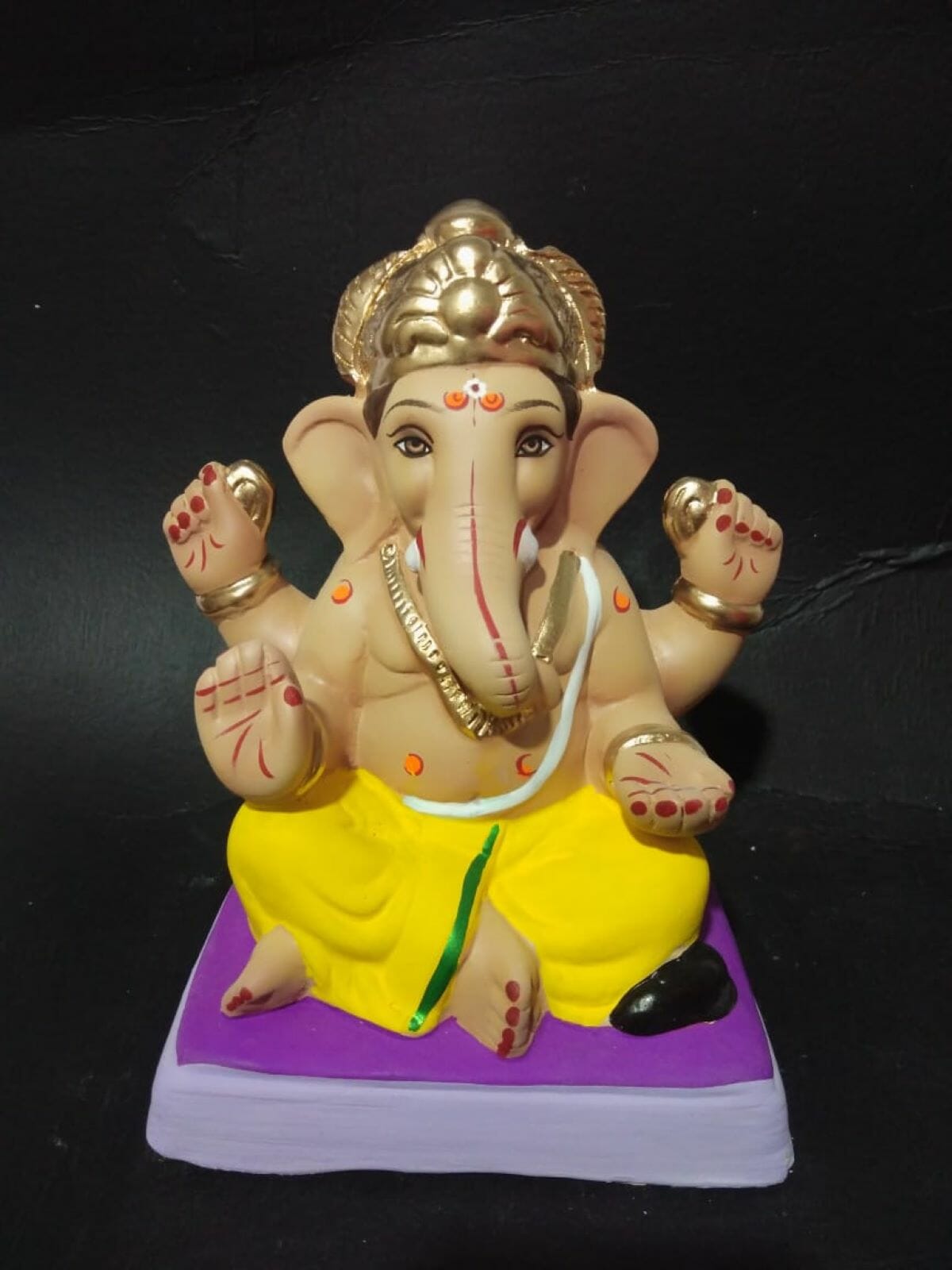 Bhatt 9 resized