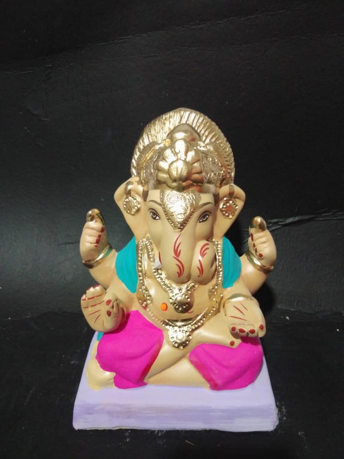 agdusheth Pink 9 resized