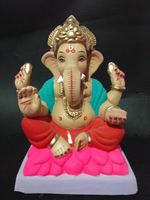 Mysuri Kamal 10 resized