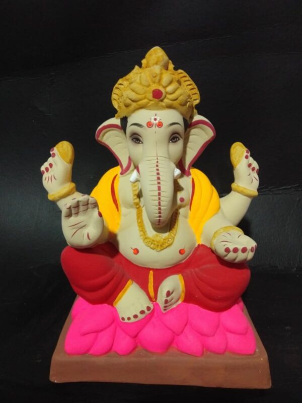 Mysuri Kamal 10 resized
