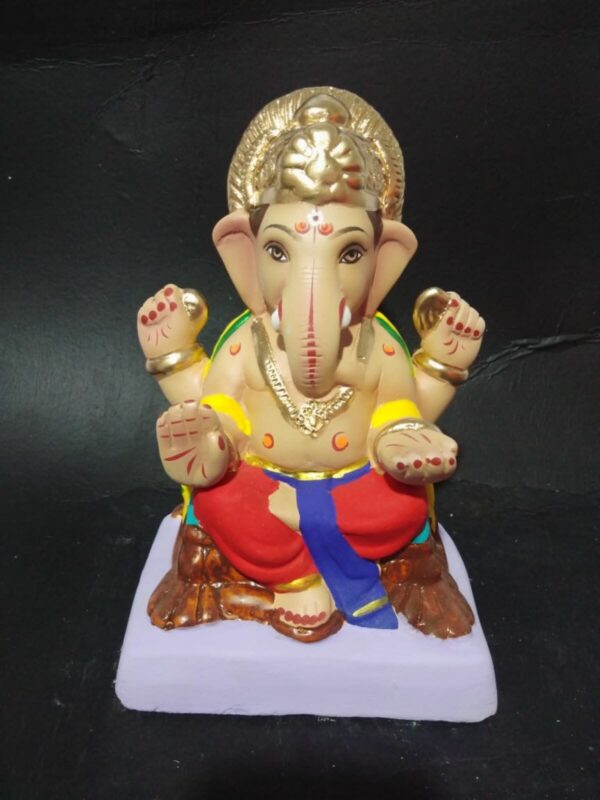 Vighnaraj Red 9 resized